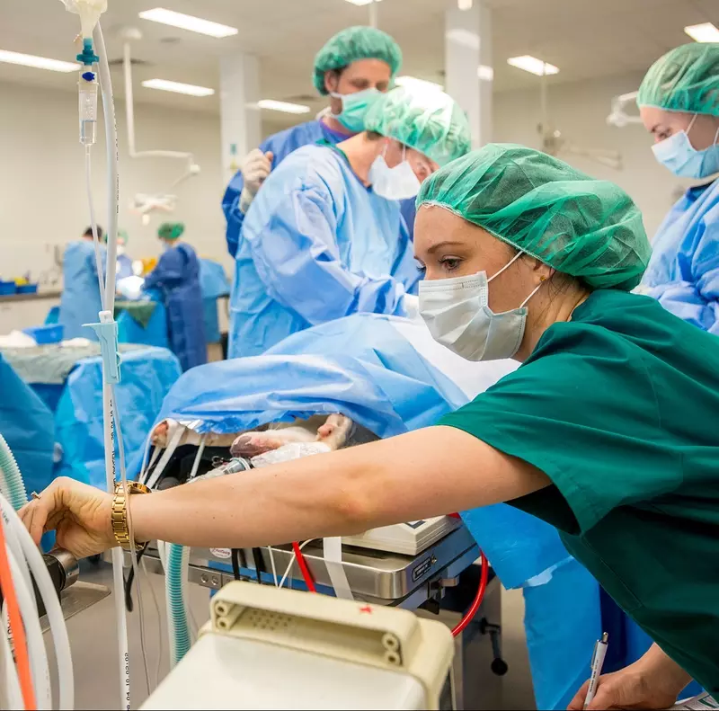 Anesthesia Practice Consultants Creates Fair, Equitable Call Schedules