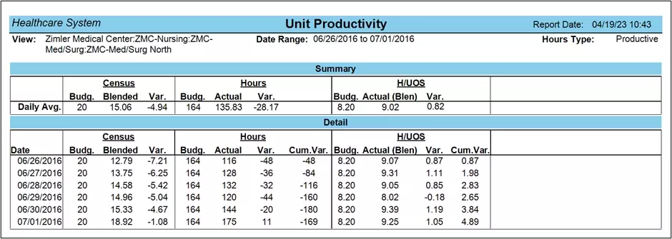 Reports: Unit Productivity and Staffing Analysis