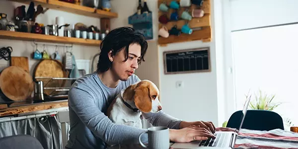 Man in kitchen with Dog in lap, on laptop