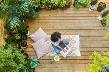 Aerial view laptop with plants